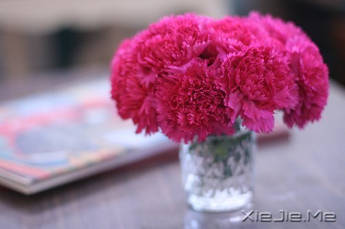 �Ҹ�Ӧ���������ɣ����������ö� (7)