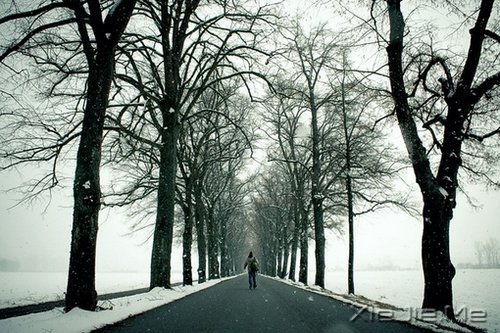 晚安心语:一个人害怕孤独,两个人害怕辜负 (6)