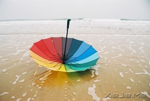 早安心语:若要梦想实现,先从梦中醒来 (3)