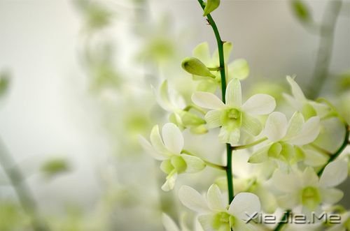 晚安心语:愿你成为自己的太阳 (8)