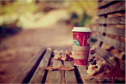 早安心语:没有什么难过能与众不同 (8)