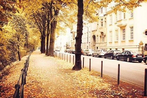 晚安心语:有些事,只有自己懂 (4)