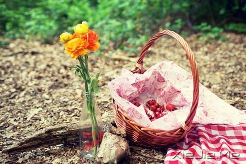 早安心语:幸福不是终点,而是旅程的途中 (9)