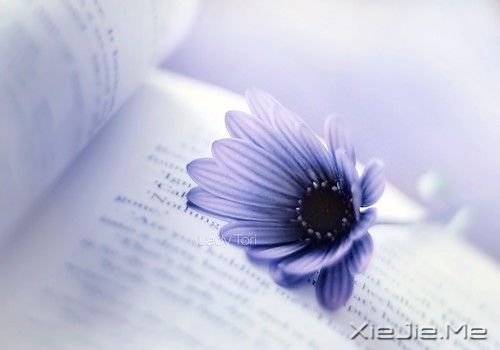 年轻时就应该懂得的道理